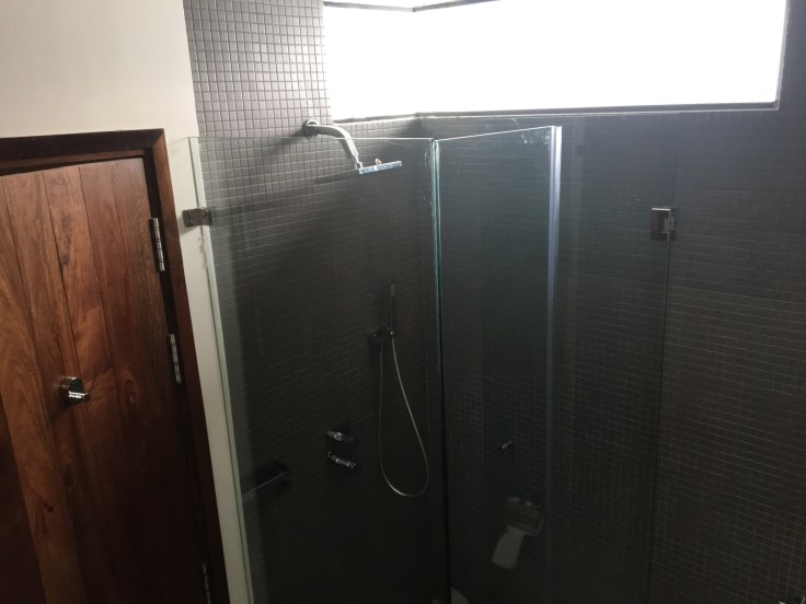 aviary hotel bathroom shower size window