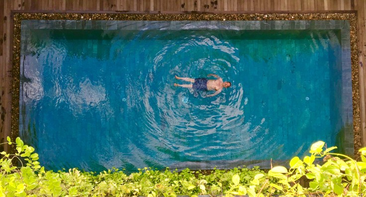 aviary hotel pool happy
