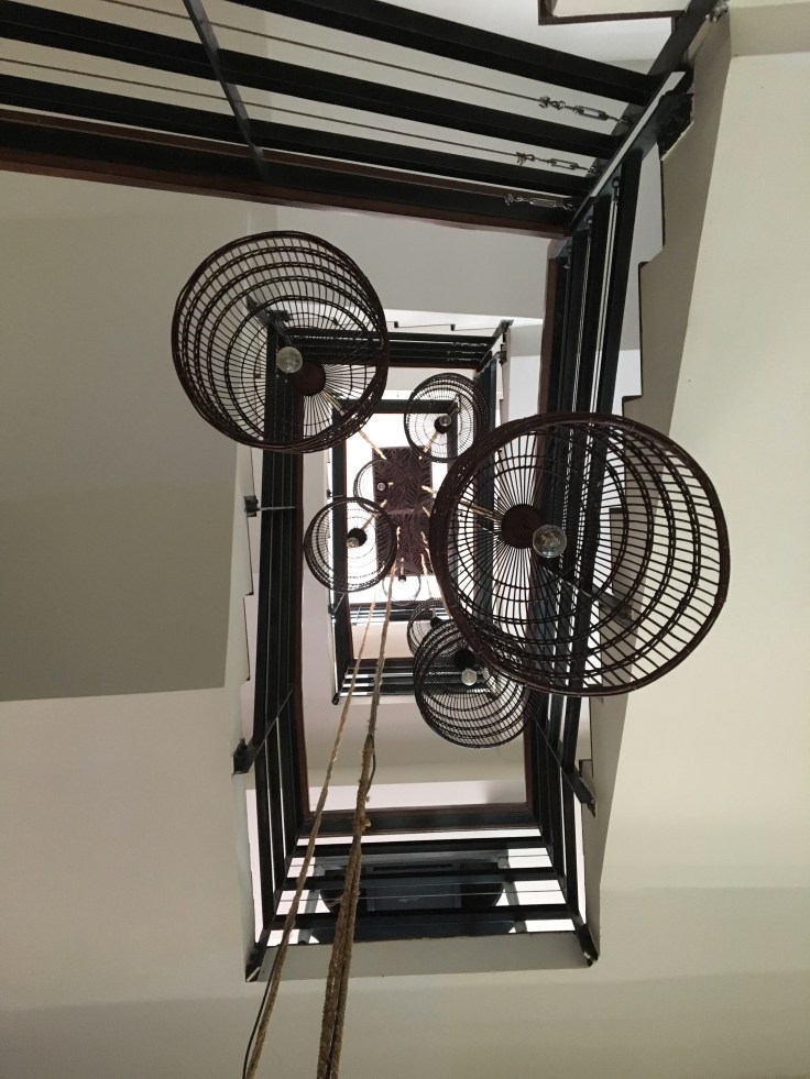 aviary hotel property decor bird cages