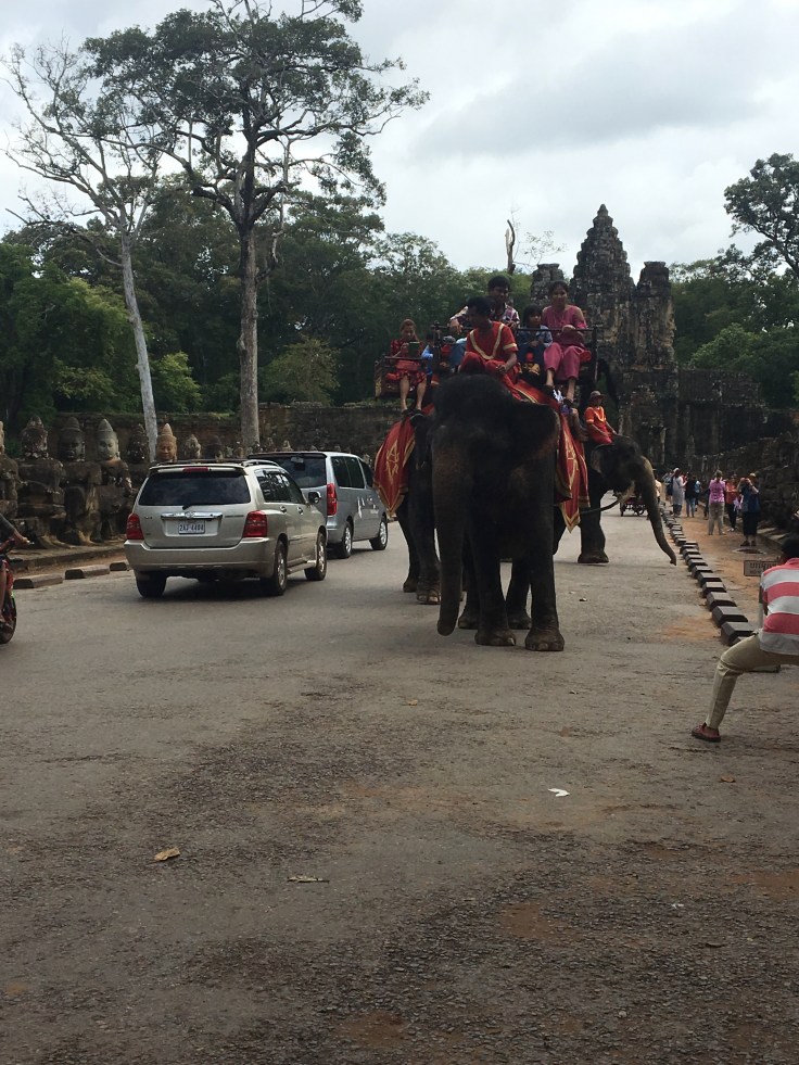siem reap angkor wat bayon temple elephants