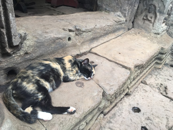 siem reap angkor wat bayon temple guard