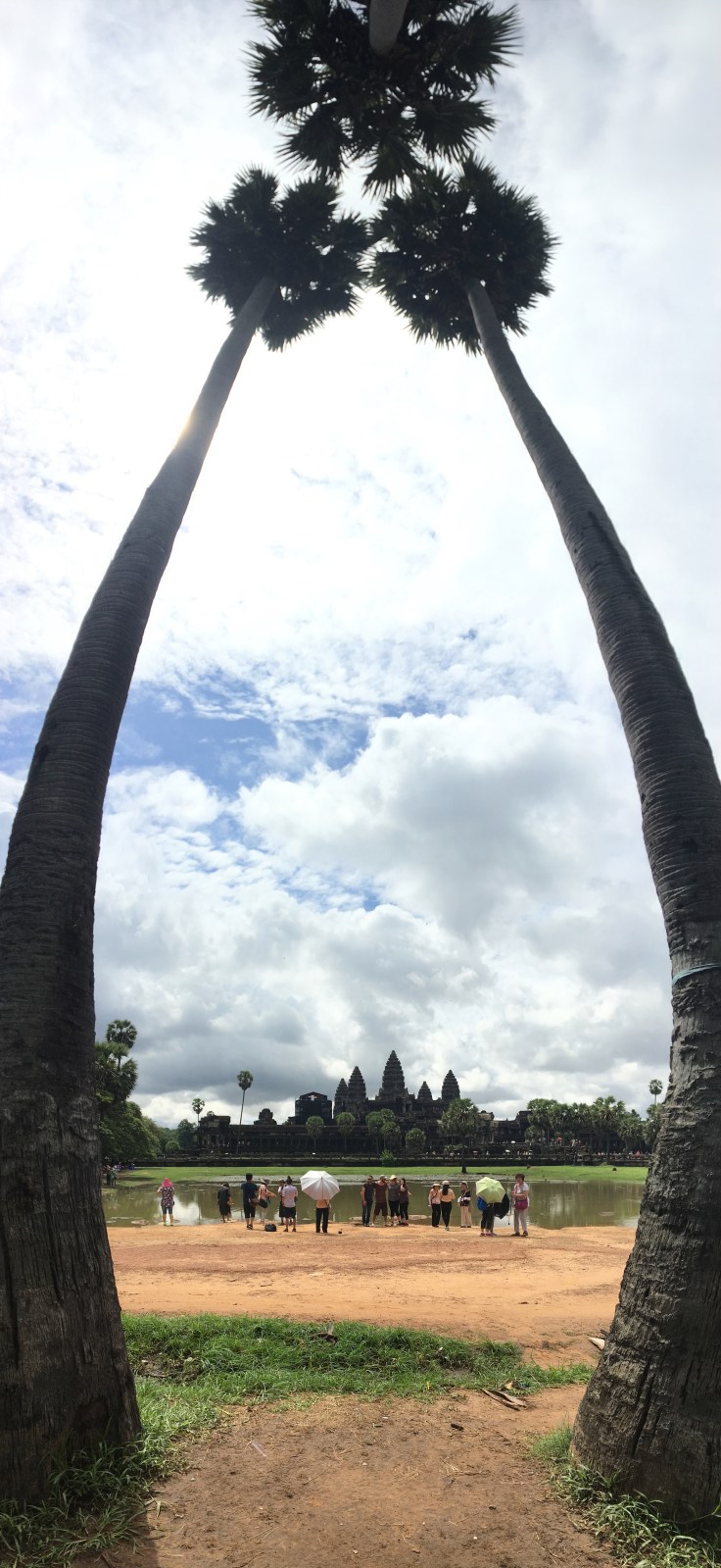 siem reap angkor wat main temple palm tree pano