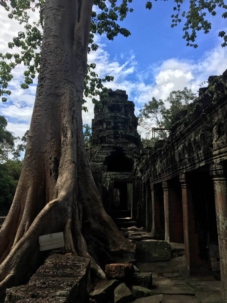 siem reap angkor wat ta prohm exterior
