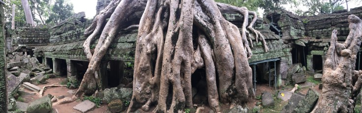 siem reap angkor wat ta prohm over grown stupa