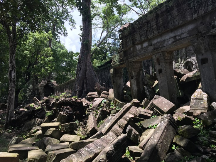 siem reap angkor wat ta prohm overgrown ruins