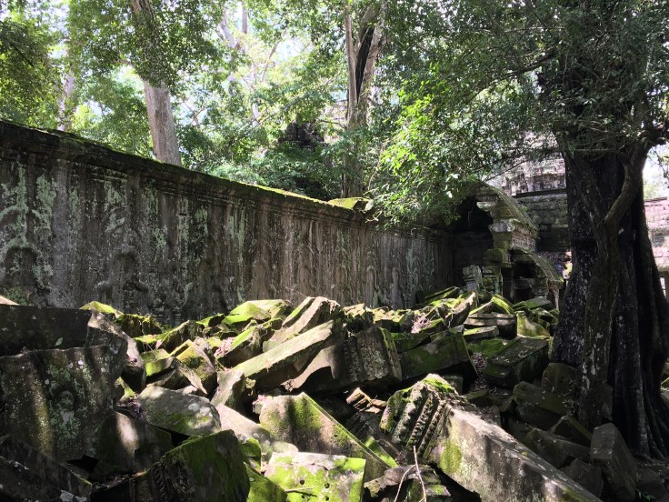siem reap angkor wat ta prohm ruins