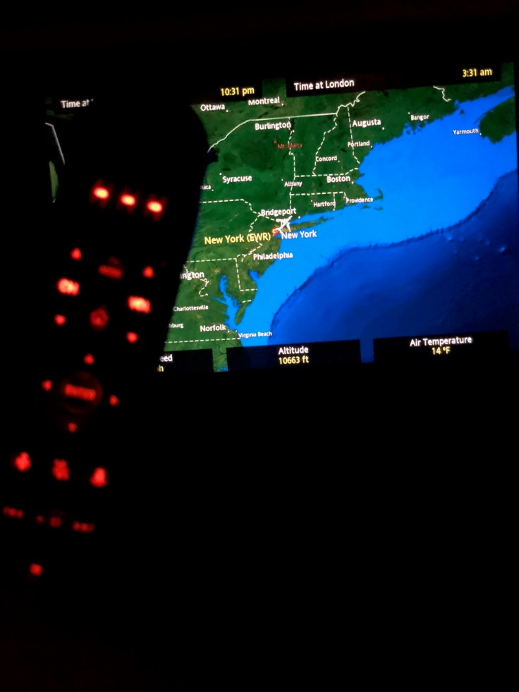 united airlines polaris business diamond entertainment controls