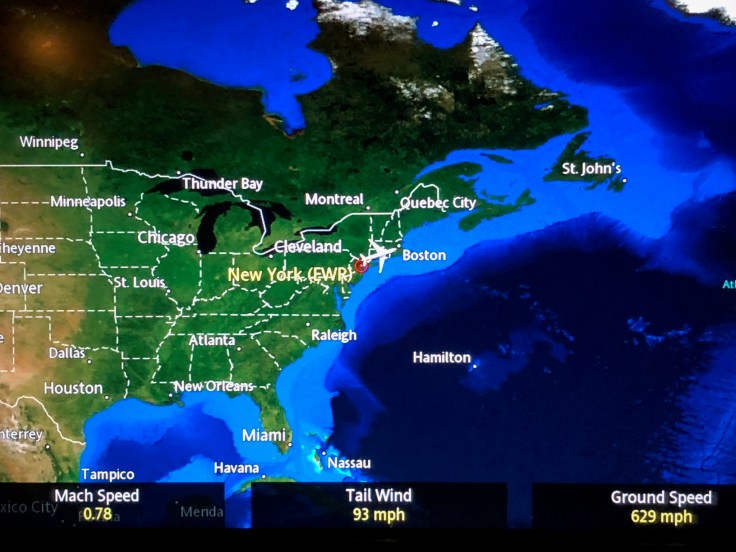 united airlines polaris business diamond entertainment moving map
