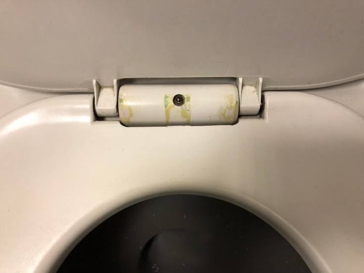 united airlines polaris business diamond hard bathroom toilet gunk