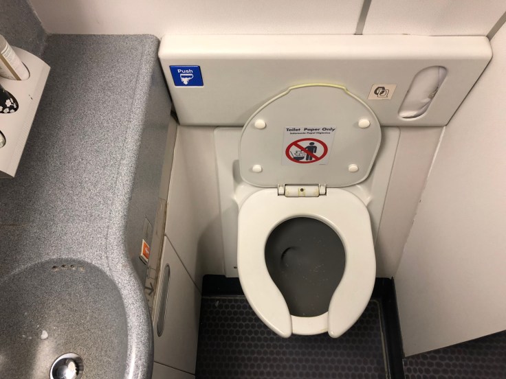 united airlines polaris business diamond hard bathroom toilet