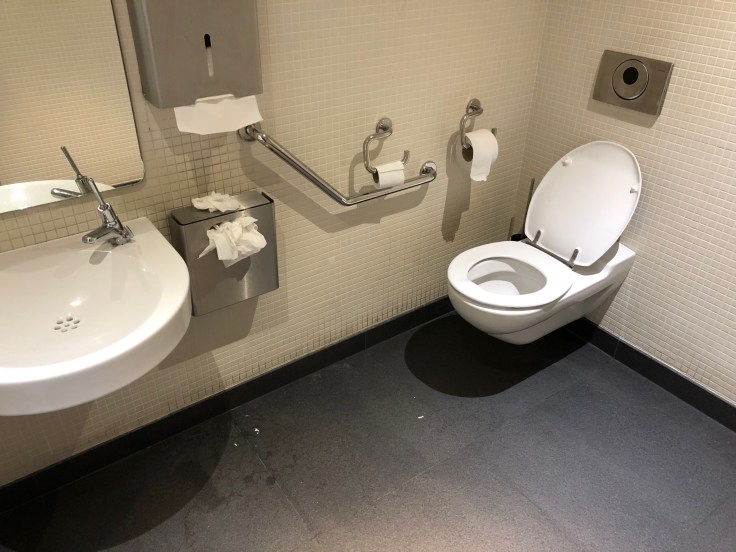 air france business salon cdg restroom bathroom stall