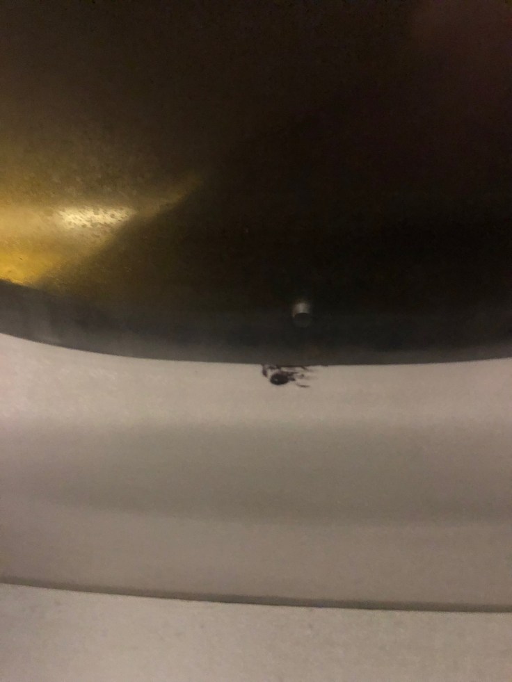 spirit airlines hard window crack