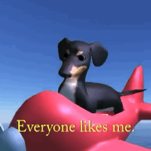 dog on airplane gif