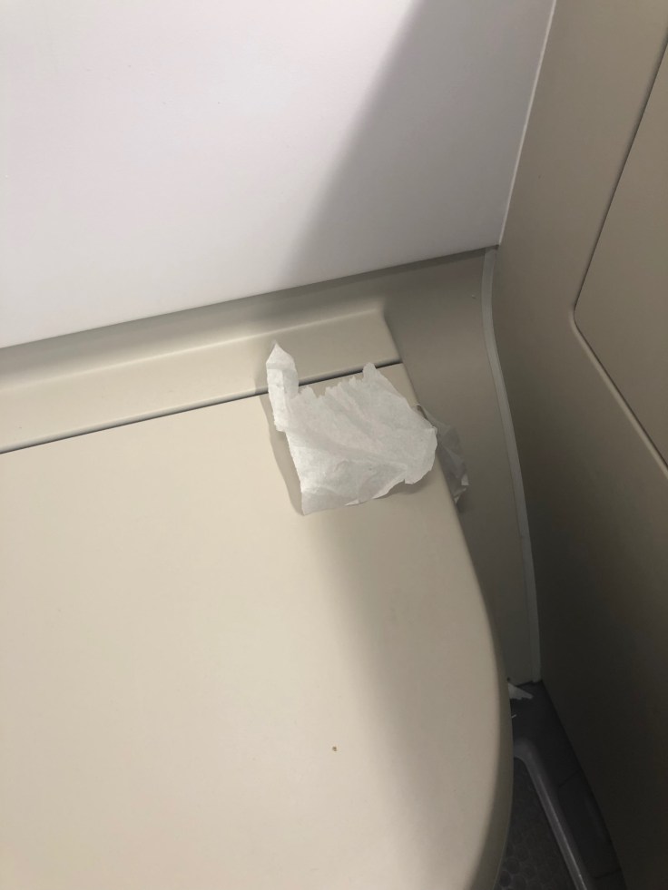 2019 iberia premium economy 07 lavatory 1 garbage