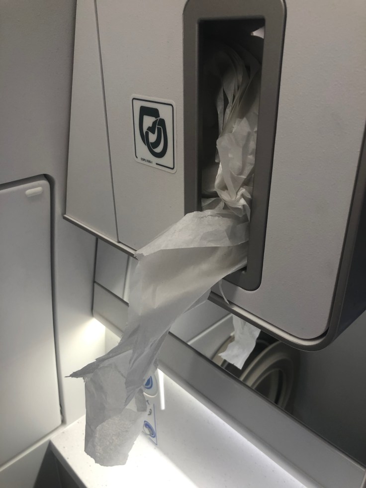 2019 iberia premium economy 07 lavatory 1 shreds