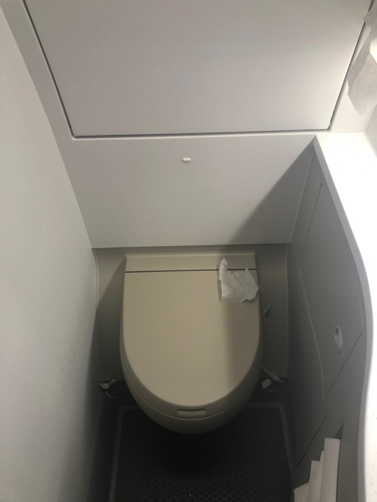 2019 iberia premium economy 07 lavatory 1 toilet