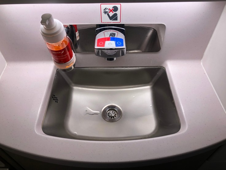 2019 iberia premium economy 07 lavatory 2 sink