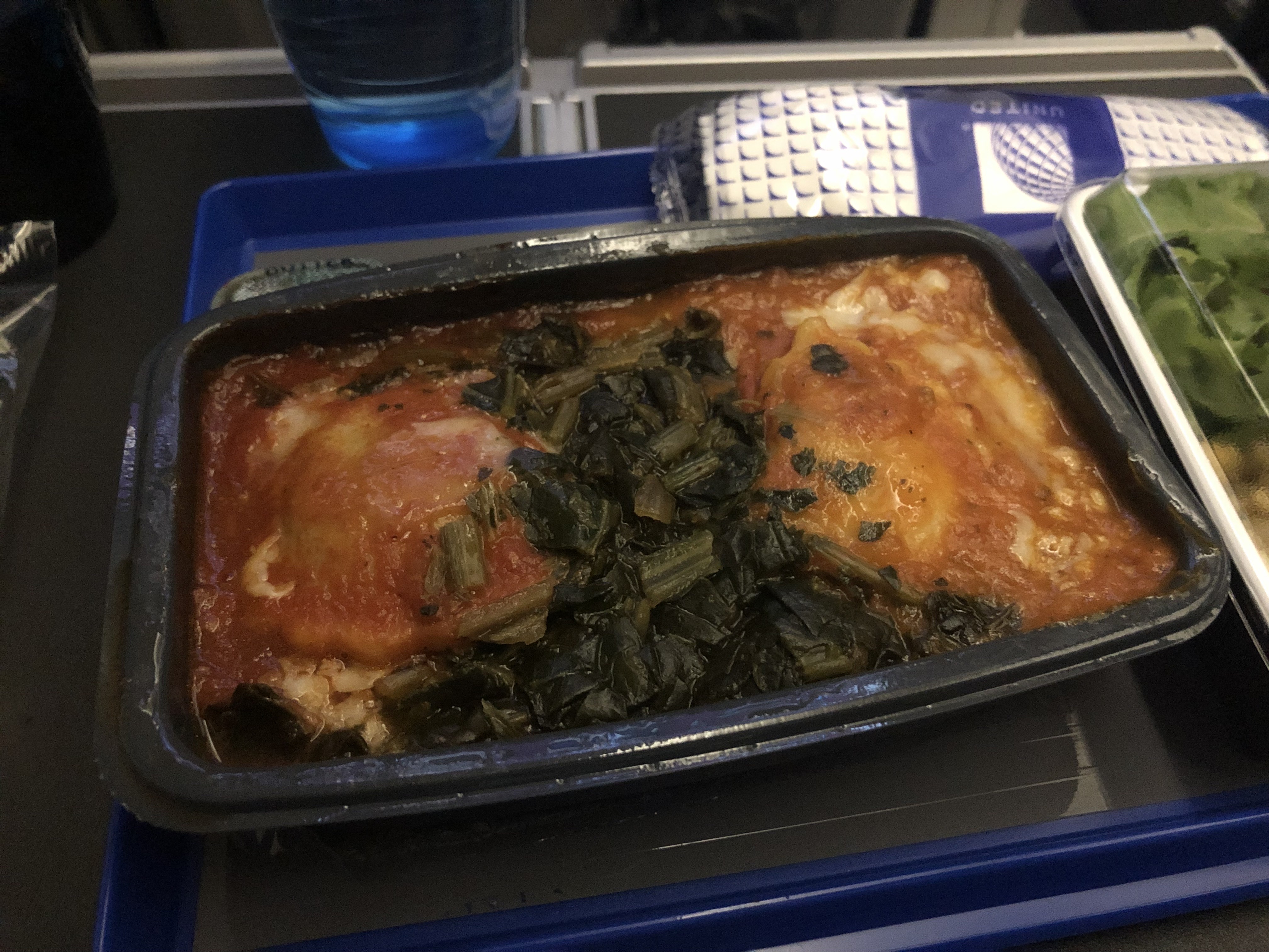 United Premium Economy Meal