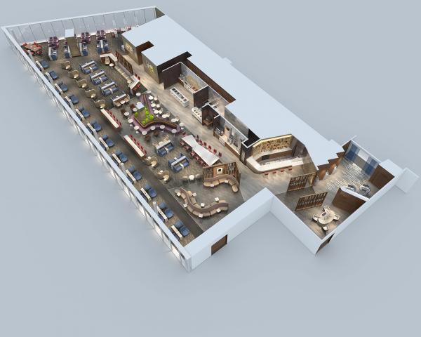 TDF February 12 2020 Delta SkyClub Haneda 00