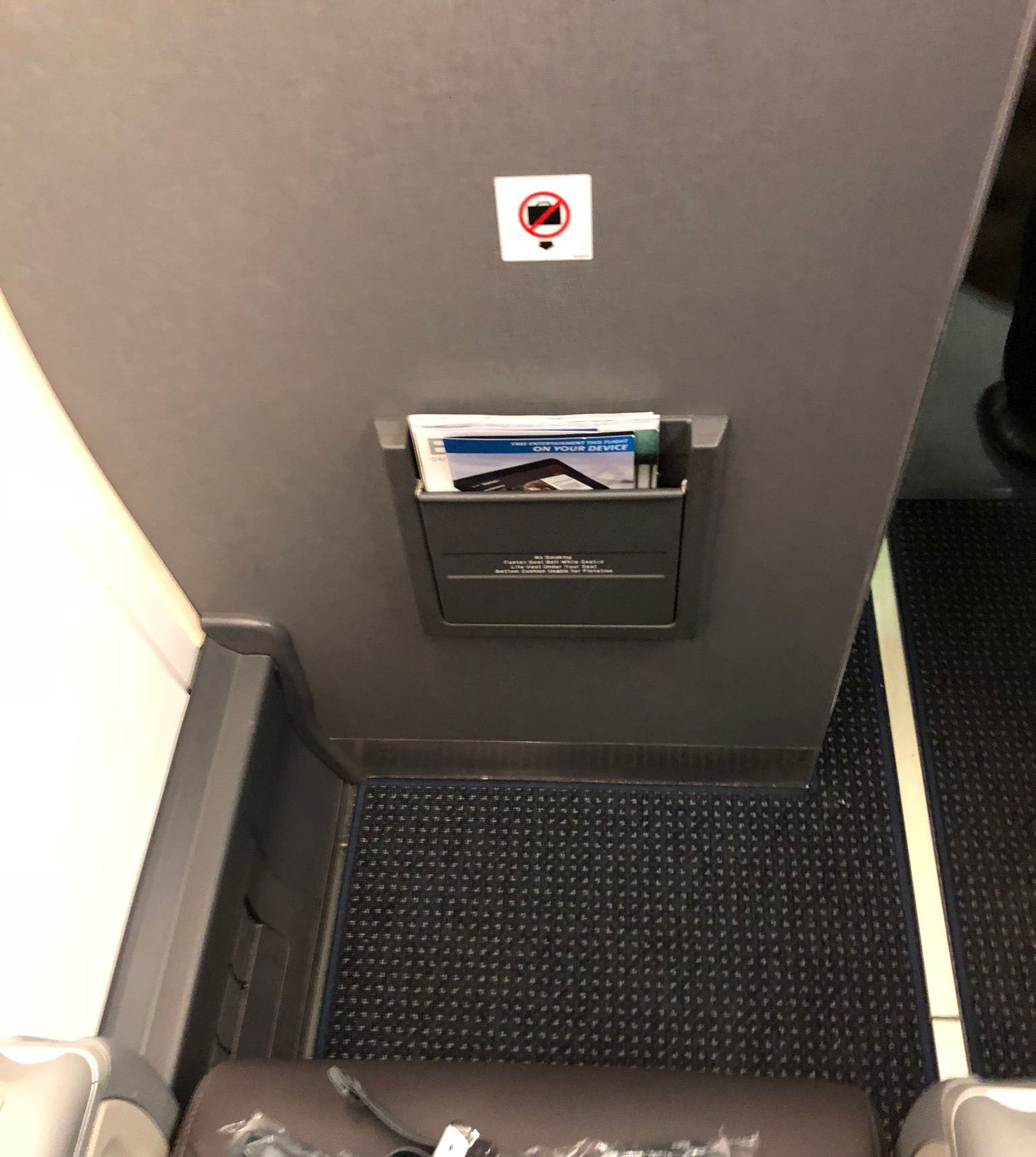2020 american airlines domestic first hard seat above