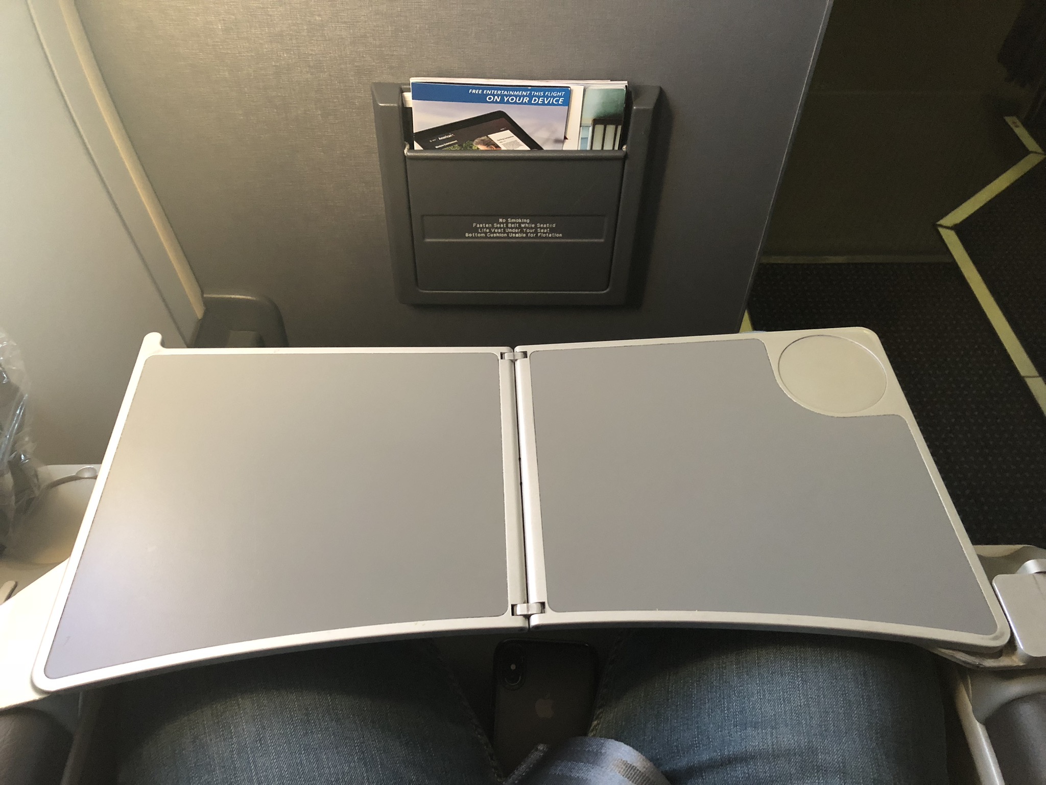 2020 american airlines domestic first hard tray table