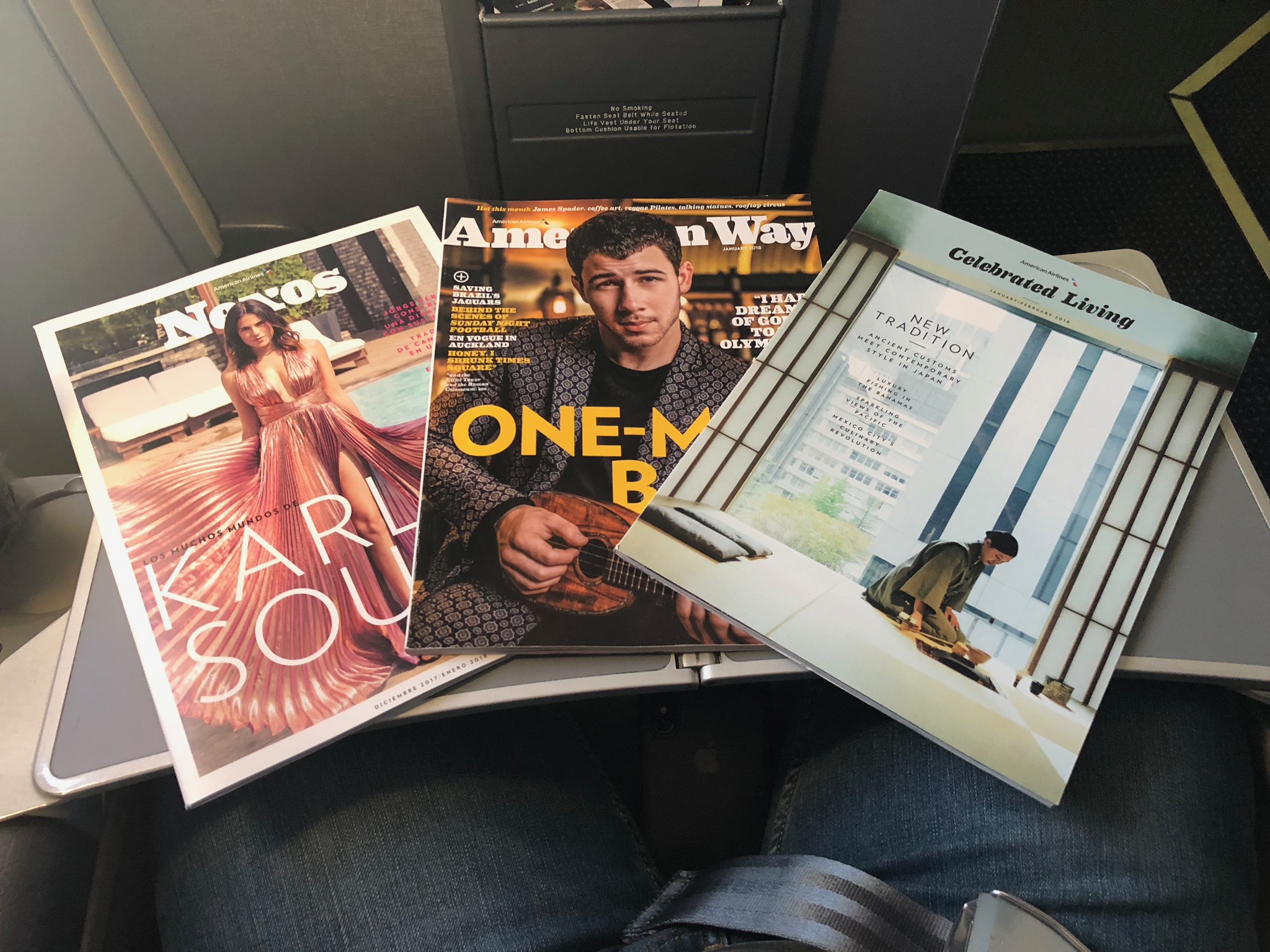 2020 american airlines domestic first soft literature