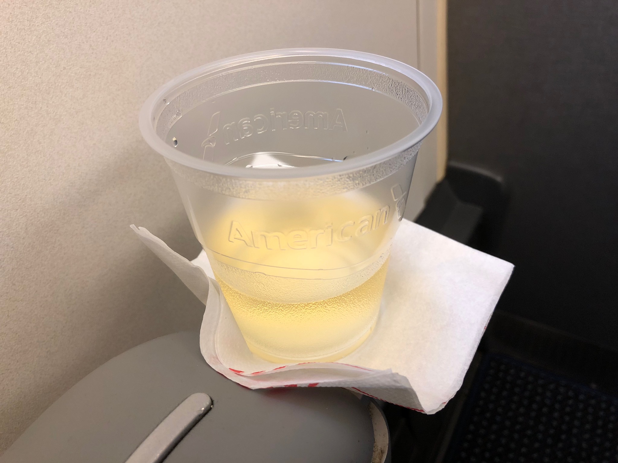 2020 american airlines domestic first soft predeparture beverage