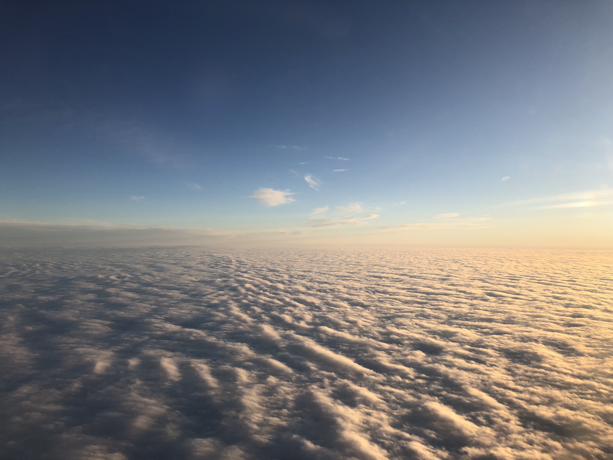 2020 american airlines domestic first view above the clouds